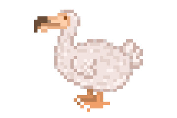 Dodo, extinct flightless bird, 8 bit pixel art icon isolated on white background. Old school vintage retro slot machine/video game graphics.