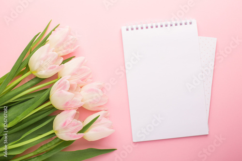 Notebook and spring flower pink tulips on the pink background with copyspace. Theme of love, mother's day, women's day flat lay