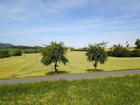 H&uuml;gelige Landschaft mit Feldern B&auml;umen und einer Stra&szlig;eim Sommer 