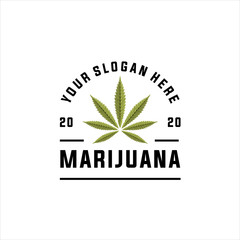 cannabis and marijuana logo design elements. Vector illustration and logotype template, Medical cannabis logo vintage