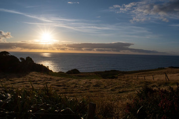 Golden sunset with yellow grassland and pacific ocean behind