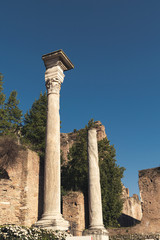 Details of the ruins of the Roman forum in Rome