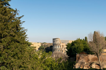 Fototapeta premium Details of the ruins of the Roman forum in Rome
