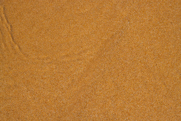 Yellow orange sand texture