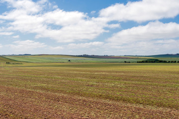 landscape with cropped field and blue sky