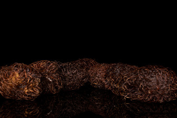 Group of seven whole old brown rambutan isolated on black glass