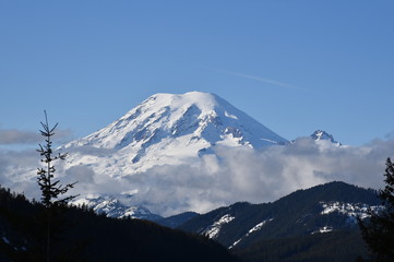 Mount Rainier Vista
