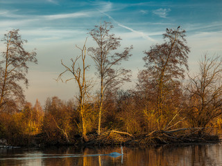 evening at the river