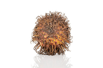 One whole old brown rambutan isolated on white background