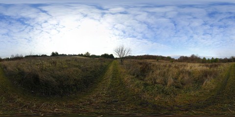 Ground road HDRI Panorama