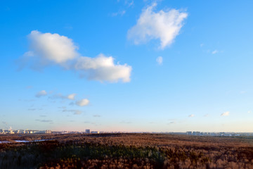 City behind an autumn forest with trees, background of a cloudy sky