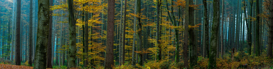 wood in yellow and blue..