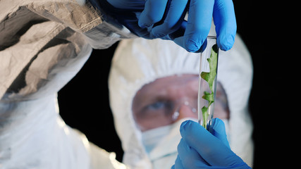 A researcher in a protective suit looks at a test tube with a sample of a plant. Genetic research...