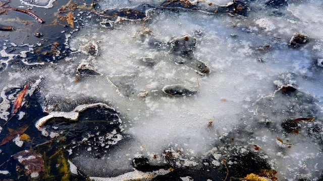 Ice on water stylish contrasting water background with pieces of ice and debris during the thaw © Олена Белеванцева