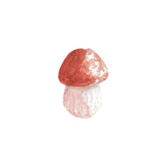 Cep porcini mushroom (boletus edulis) isolated on white background. Watercolor hand drawn illustration