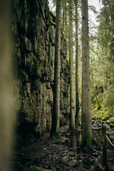 Obraz premium Wall of stone. Skurugata. Mountain deep in the dark forrest.