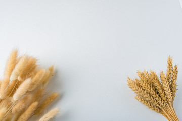 cereals rye and wheat tied in a bouquet on a white background