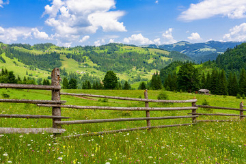 wooden fence on summer meadow