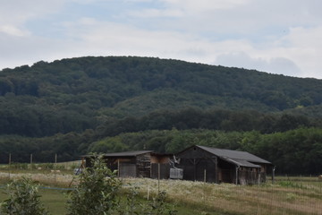 Fototapeta na wymiar Berg-Hütte