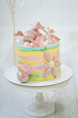Decor of the girl's first birthday.  Beautiful delicate pink yellow cake with butterflies.