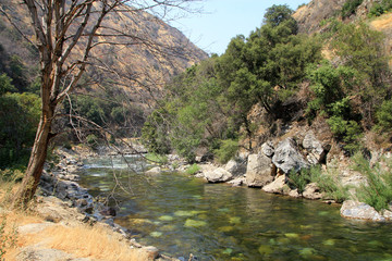 Fototapeta na wymiar King river in California, USA