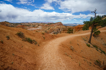 hiking the fairyland loop trail in bryce canyon national park, utah, usa