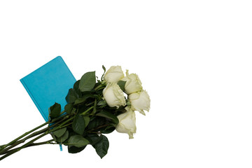 closeup of white roses with green leaves on a blue notebook on an isolated background with space for text