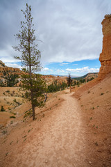 hiking the fairyland loop trail in bryce canyon national park, utah, usa