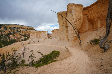 hiking the fairyland loop trail in bryce canyon national park, utah, usa