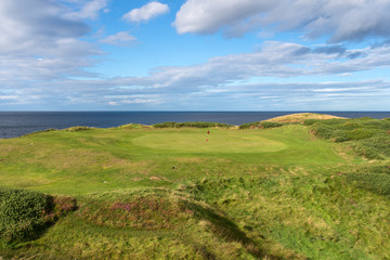Fototapeta na wymiar Golf course green on the coast
