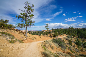 hiking the rim trail in bryce canyon national park, utah, usa