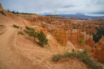 hiking the rim trail in bryce canyon national park in utah in the usa