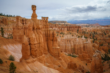 hiking the rim trail in bryce canyon national park in utah in the usa
