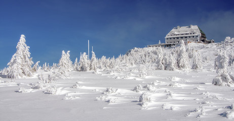 Szrenica, Karkonosze