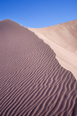 Rippled Sand Dune