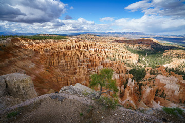hiking the rim trail in bryce canyon national park in utah in the usa
