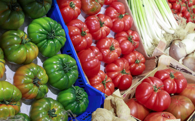 fresh vegetables at the market