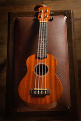 ukulele le