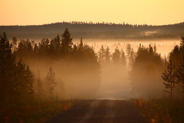Misty morning over gravel road in Sweden