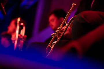 A trumpet player dressed in concert black sitting and holding a gold plated trumpet. Purple and...