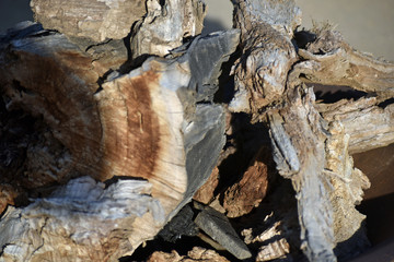 Firewood in a Fire Pit