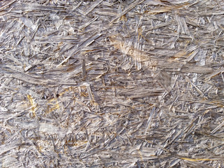 texture of wood