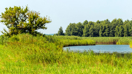 Country lake landscape