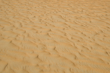 Disordered structure of sand of dunes in the desert, United Arab Emirates, Rub al Khali Desert