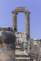 Didyma Apollon Temple Columns
