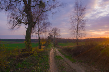 Fototapeta na wymiar Landscape, nature during sunset, path, tree fields, clouds, nature, beautiful view