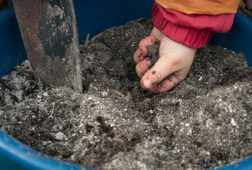 the child cultivates the ground preparing the soil for sowing