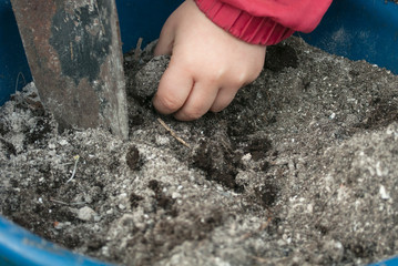 the child cultivates the ground preparing the soil for sowing