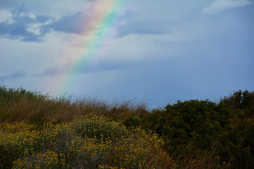 Rainbow appearing behind nature after the storm