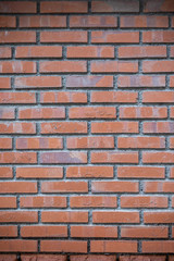 Fototapeta premium Mur de brique